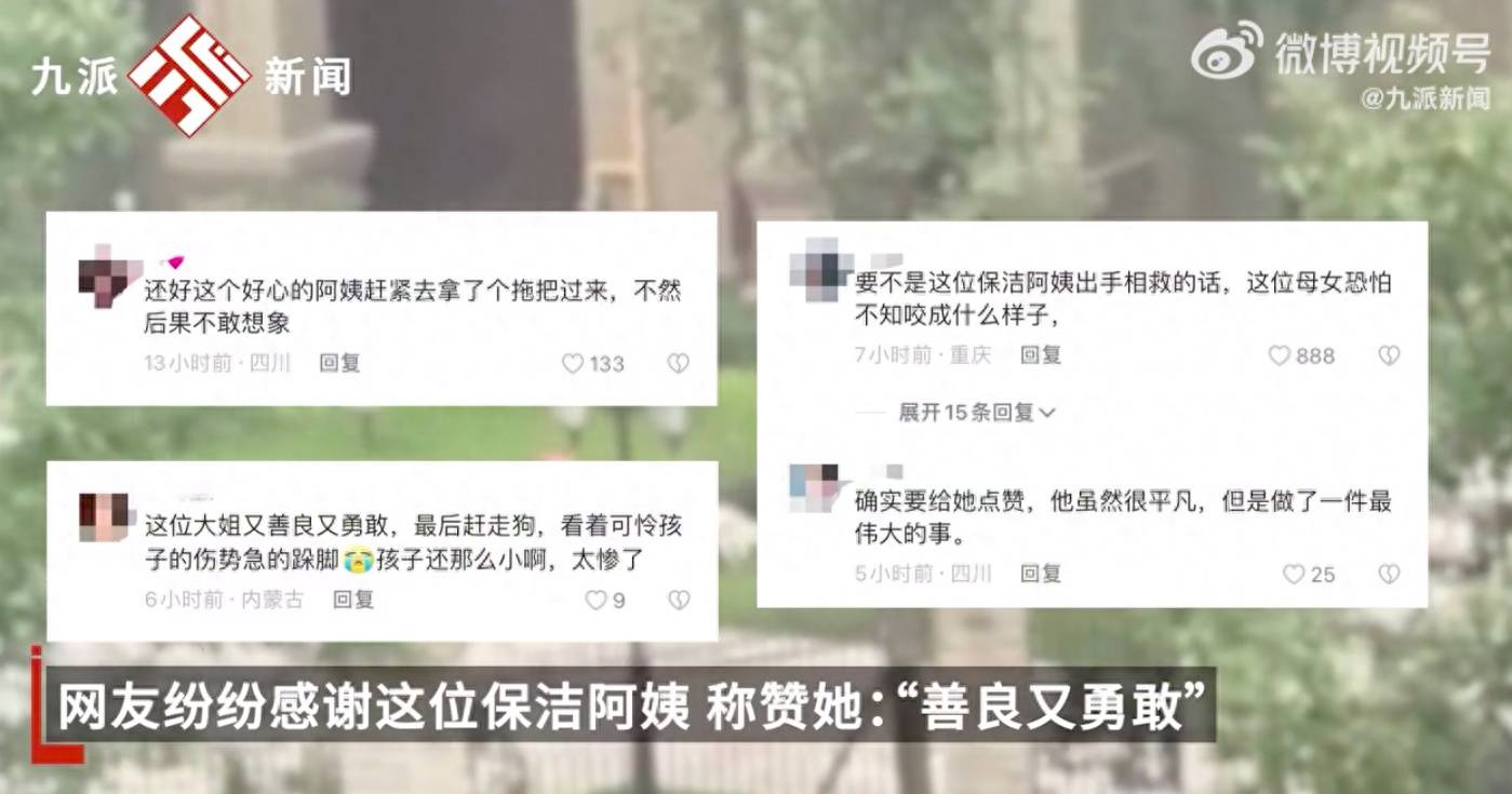 保洁阿姨为2岁女童挡狗获网友点赞物业回应：打算给一些奖励还没公布jbo竞博(图2)