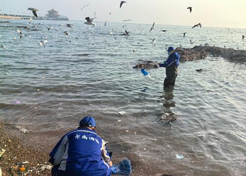 青岛栈桥景区保洁员清晨上岗全力保障环境整洁迎客来(图3)