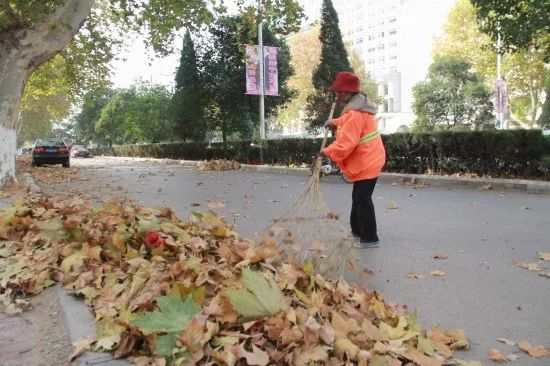 李婷：保洁阿姨和她的三套房(图1)