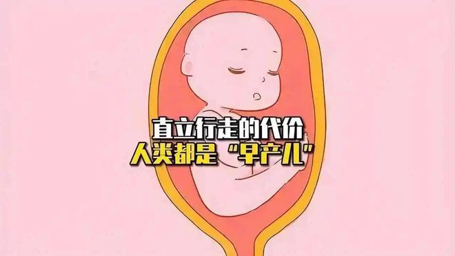 人类婴儿生存能力很差在原始社会恶劣jbo竞博网址条件下如何生存下来？(图3)